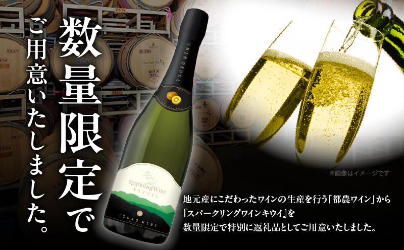 【数量限定】スパークリングワイン キウイ(計1本)酒 飲料 アルコール 国産_T014-023