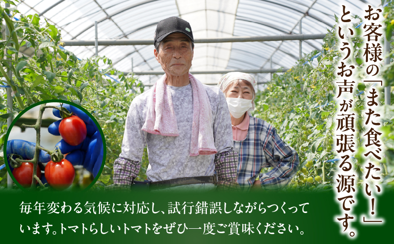 先行予約≪期間限定≫オリジナルブランド「フルーツトマト ゆき」計2kg ミニトマト 野菜 サラダ 国産_T047-0041