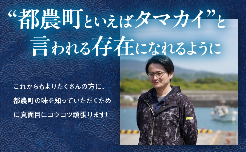 都農町産「つのタマカイ(鍋用・ぶつ切り)2〜3人前」計500g 魚 魚介 養殖 希少 国産_T012-001