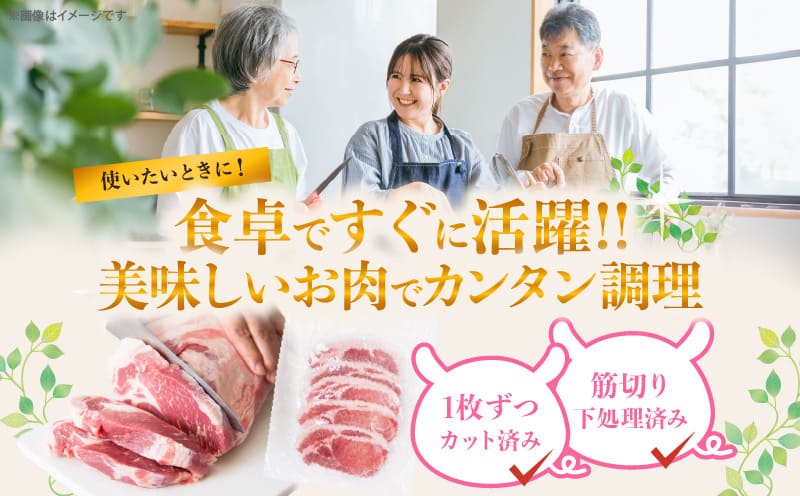 ≪宮崎ブランドポーク≫ロース(トンテキ・とんかつ用)計2kg 肉 豚 豚肉 国産T023-0131