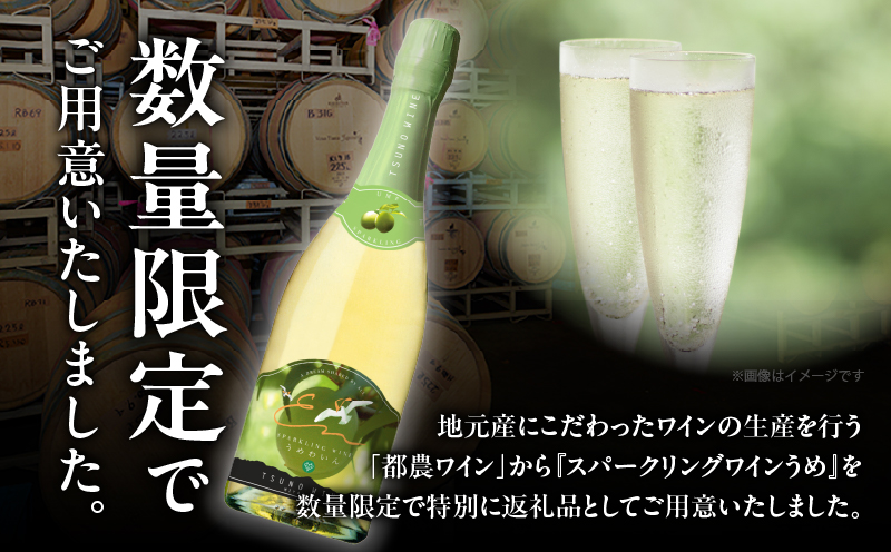 【数量限定】スパークリングワインうめ(計1本) 酒 飲料 アルコール 国産_T014-030