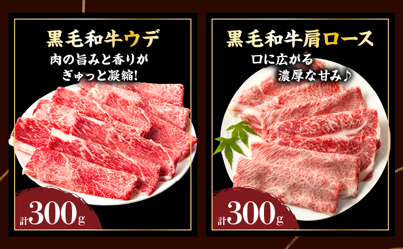 生産者応援≪肉質等級4等級以上≫宮崎県産黒毛和牛・豚スライス＆粗挽きウインナーセット(合計1.08kg) 肉 牛肉 豚肉 おかず 国産_T030-1743