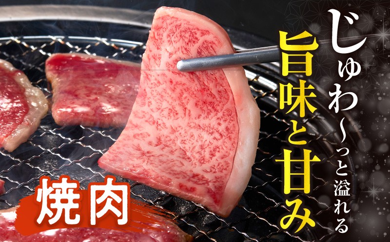 ≪肉質等級4等級以上≫宮崎県産黒毛和牛霜降り肩ロース(焼肉)計600g 肉 牛 牛肉 おかず 国産_T030-1938