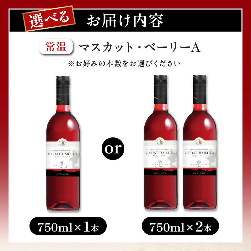 【選べる内容量】 数量限定 マスカット・ベーリーA 1本 or 2本