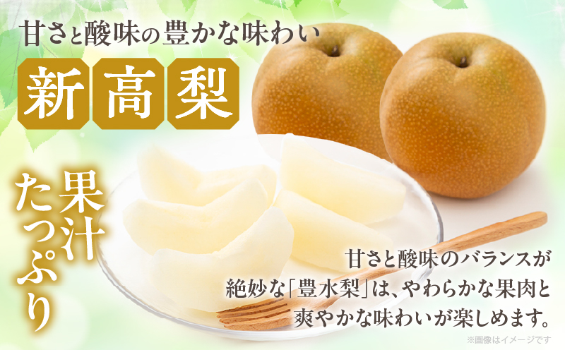 先行予約≪期間限定≫まるみ観光果樹園の『新高梨』(約4kg) なし 果物 フルーツ 天然 ミネラル栽培_T036-0025