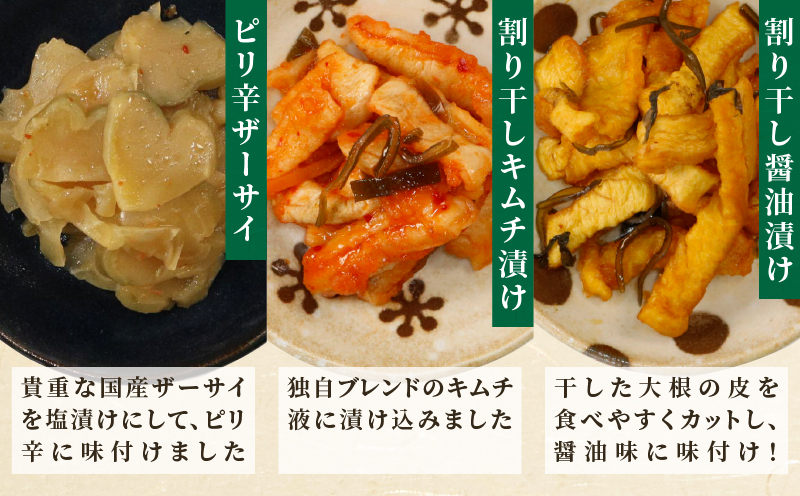 【2週間以内発送】お漬物＆惣菜10種のギフトセット(合計1kg) 漬物 おかず 野菜 加工品 国産_T037-0081