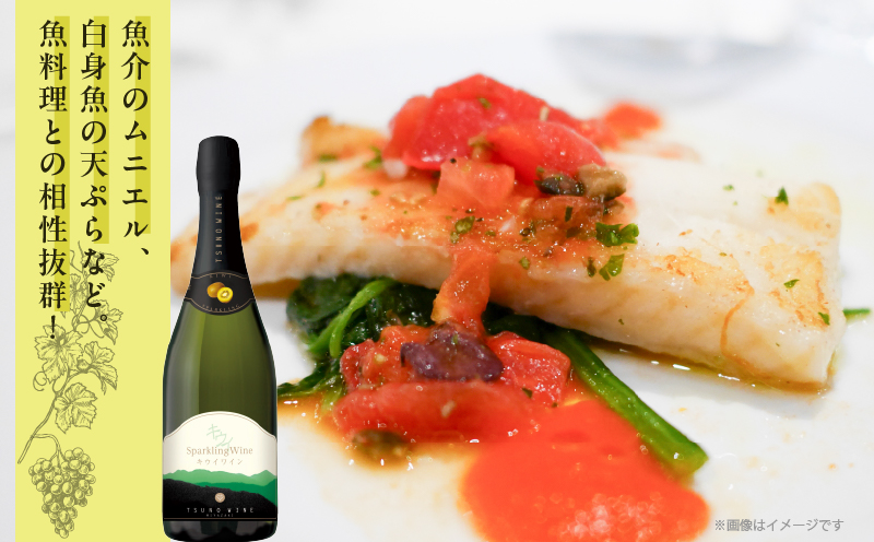 【数量限定】スパークリングワイン キウイ(計1本)酒 飲料 アルコール 国産_T014-023