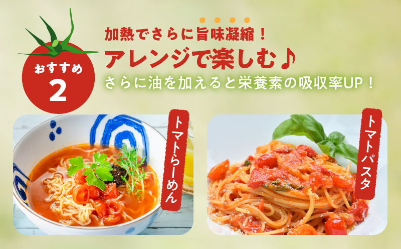 先行予約≪期間限定≫オリジナルブランド「フルーツトマト ゆき」計2kg ミニトマト 野菜 サラダ 国産_T047-0041