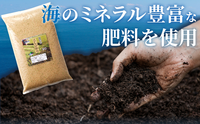 先行予約≪都農町産≫新米コシヒカリ(玄米)5kg 米 お米 ご飯 国産_T031-0035