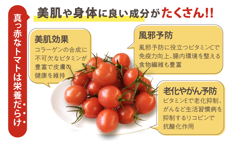先行予約≪期間限定≫オリジナルブランド「フルーツトマト ゆき」計2kg ミニトマト 野菜 サラダ 国産_T047-0041