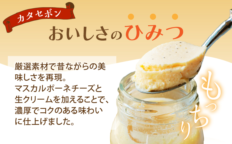 ＼年内発送!!／南国プリン「カタセボン(計9個)」 スイーツ 洋菓子 国産_T038-0031-N