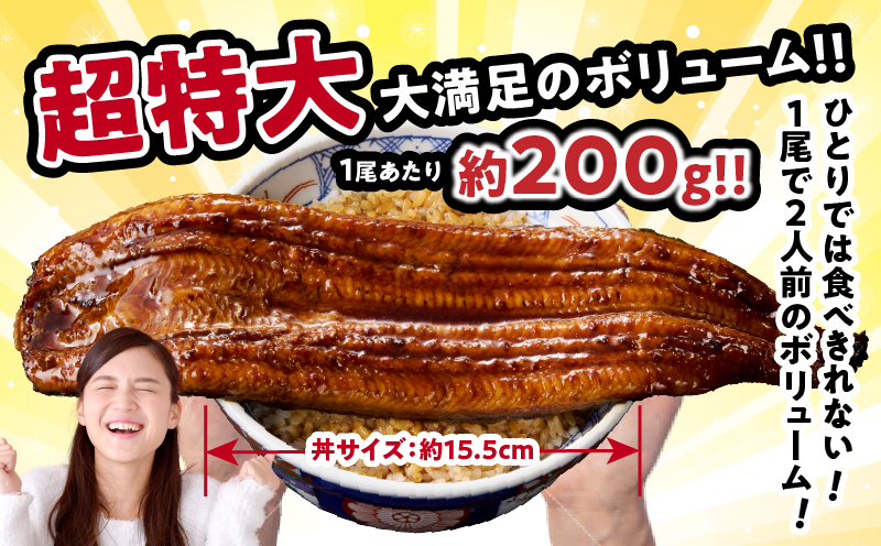 うなぎ蒲焼特大3尾(さんしょう・たれ付き)計600g以上 鰻 魚 魚介 加工品 国産_T026-0021