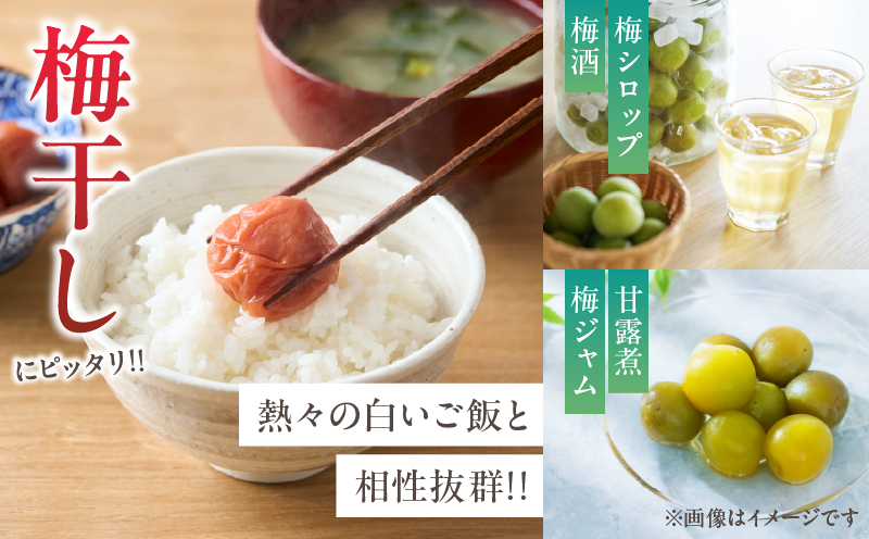 先行予約≪期間限定≫都農町産「南高梅(Mサイズ)」計5kg 梅 梅干し 果物 国産_T008-011