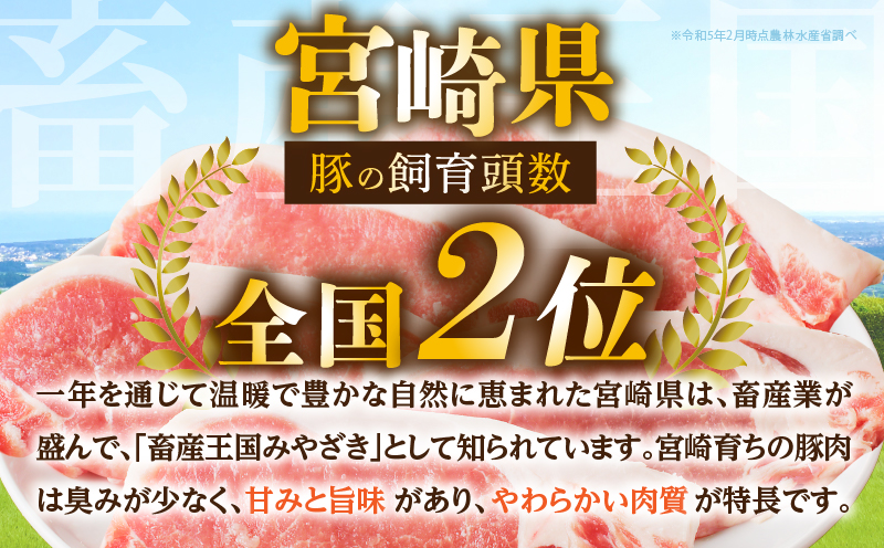 【内容量・2週間以内・発送月が選べる】宮崎県産 豚肉6種 ＼てげスゲーセット／ 2kg 3kg 4.5kg