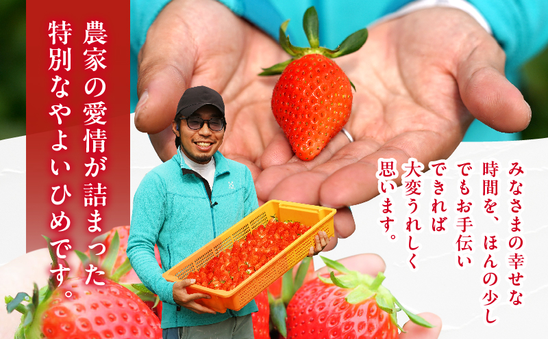 ≪数量限定≫都農町産いちご「やよいひめ」計500g フルーツ 果物 デザート イチゴ 国産_T059-0015