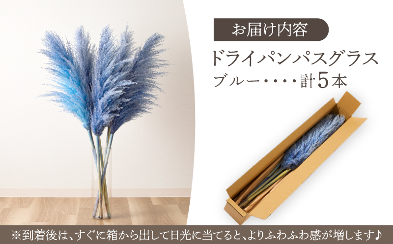【2週間以内発送】ドライパンパスグラス（ブルー）計5本 すすき インテリア 国産_T057-002