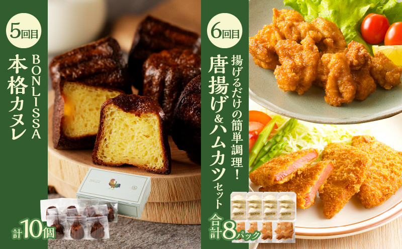 ≪12か月お楽しみ定期便≫都農町定期便(竹) 肉 加工品 デザート 国産_T999-0096