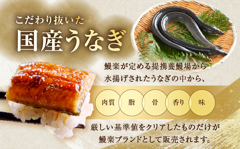 ≪数量限定≫うなぎ×黒毛和牛 都農町最強セットB 肉 牛 牛肉 おかず 国産_T030-1303