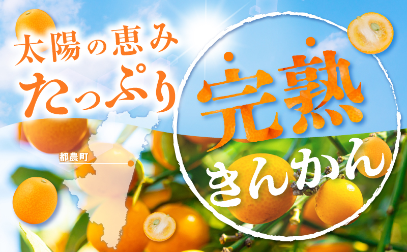 先行予約≪数量限定≫訳ありhiro君ハウスの『完熟きんかん(計2kg)』フルーツ 果物 金柑 国産_T022-003