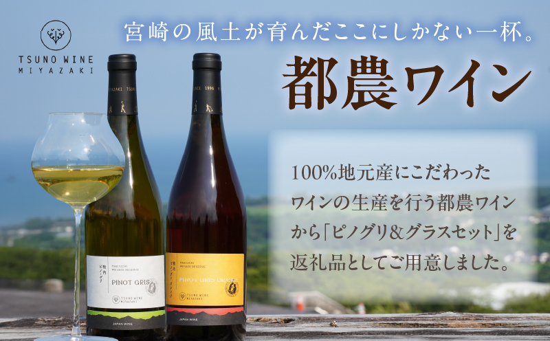 ≪数量限定≫都農ワイン ピノグリ2本&グラスセット 酒 飲料 アルコール 国産 ロナ_T014-0215