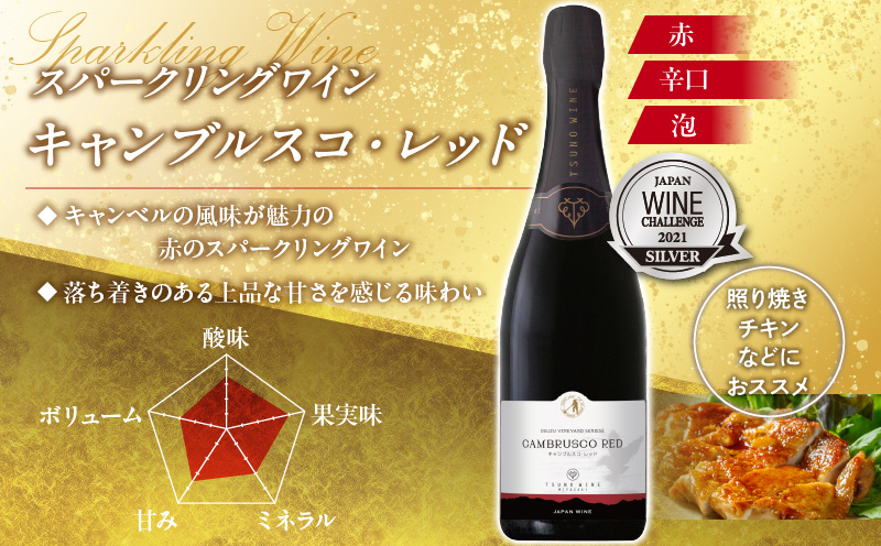 スパークリングワイン飲み比べ3本セット 酒 飲料 アルコール 国産_T014-003