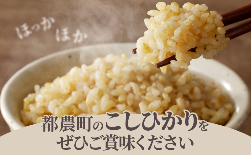 先行予約≪都農町産≫新米コシヒカリ(玄米)5kg 米 お米 ご飯 国産_T031-0035