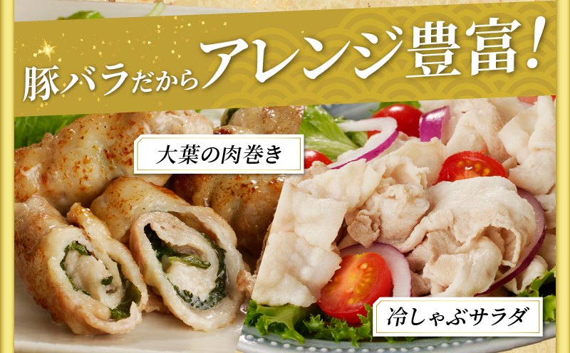 宮崎県産豚バラしゃぶしゃぶ用(計1kg) 肉 豚 豚肉 おかず 国産_T009-0133