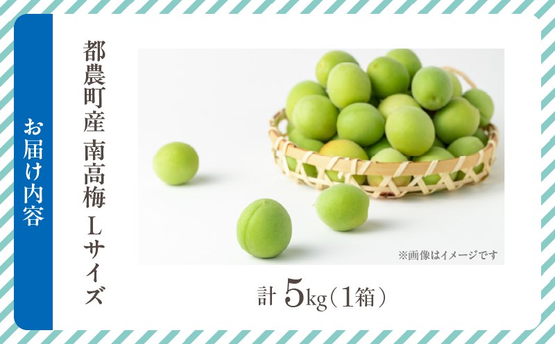 先行予約≪期間限定≫都農町産「南高梅(Lサイズ)」計5kg 梅 梅干し 果物 国産_T008-012