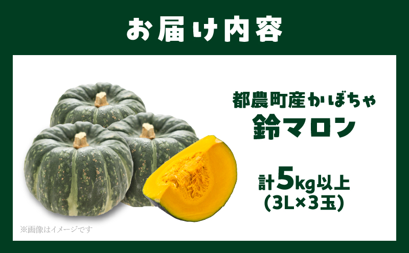 先行予約≪期間限定≫都農町産かぼちゃ 「鈴マロン」計5kg カボチャ 野菜 旬 サラダ 国産_T015-0075