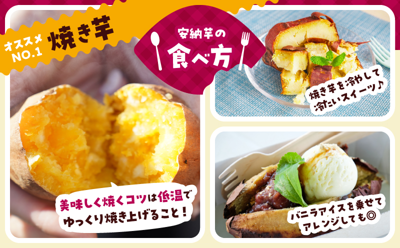 先行予約≪期間限定≫都農町産安納芋(計10kg) 野菜 芋 イモ 国産_T016-0021