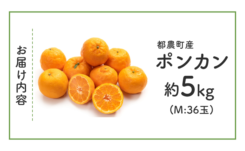 先行予約≪期間限定≫都農町産「ポンカン(Mサイズ)」 約5kg フルーツ 果物 柑橘 国産_T008-005