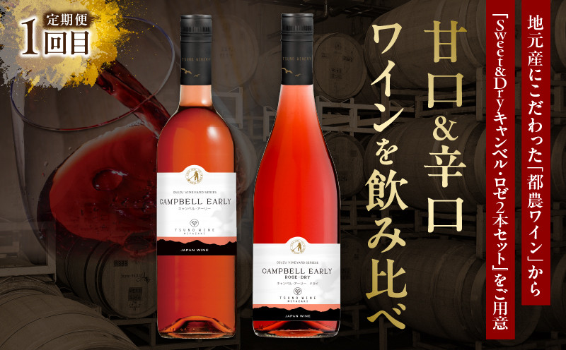 ≪定期便≫＼1か月に2回お届け!!／都農ワイン×ロースステーキ★最強コンビ 肉 牛肉 酒 飲料 国産_T999-0046