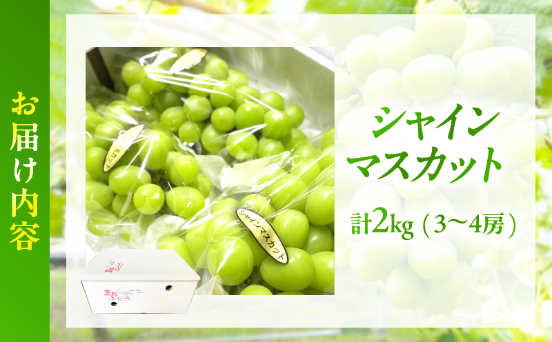 先行予約≪期間限定≫シャインマスカット(計2kg) ぶどう フルーツ 果物 デザート 国産_T051-0015