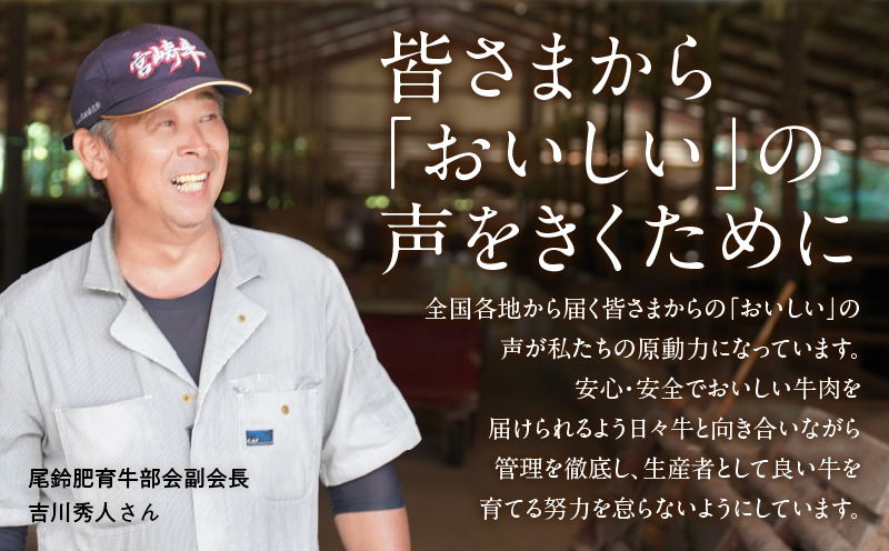 宮崎牛ローススライス(計800g) 肉 牛 牛肉 国産_T050-006