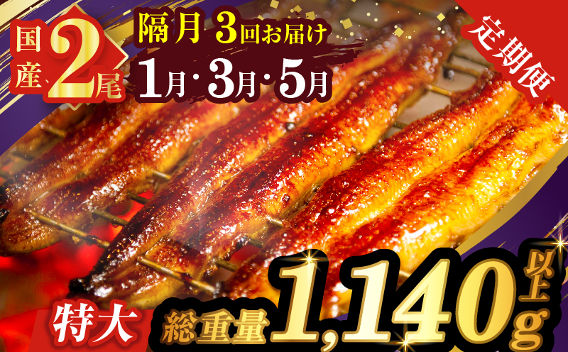 先行予約≪隔月定期便全3回≫1月・3月・5月お届け!!うなぎ蒲焼特大2尾(総重量1140g以上) 鰻 魚 魚介 加工品 国産_T026-0073