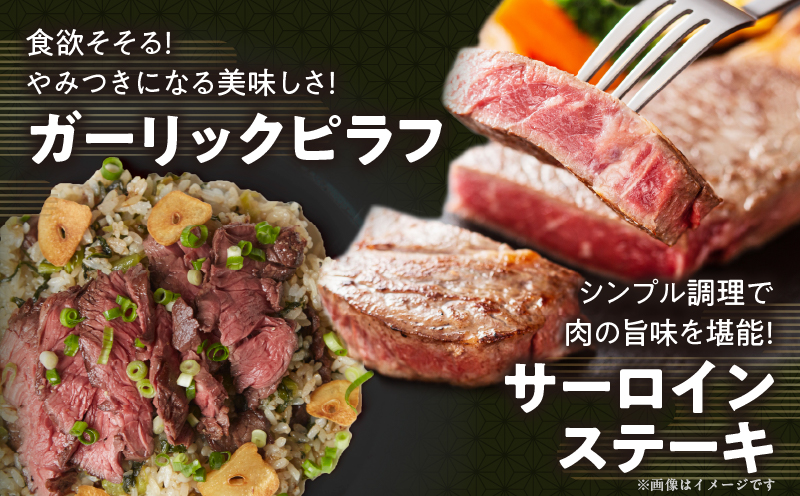 宮崎牛サーロインステーキ(計400g) 肉 牛 牛肉 国産_T050-0011