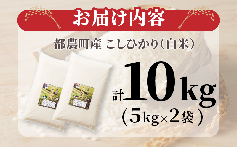 先行予約≪都農町産≫新米コシヒカリ(計10kg) 米 お米 ご飯 国産_T031-0025