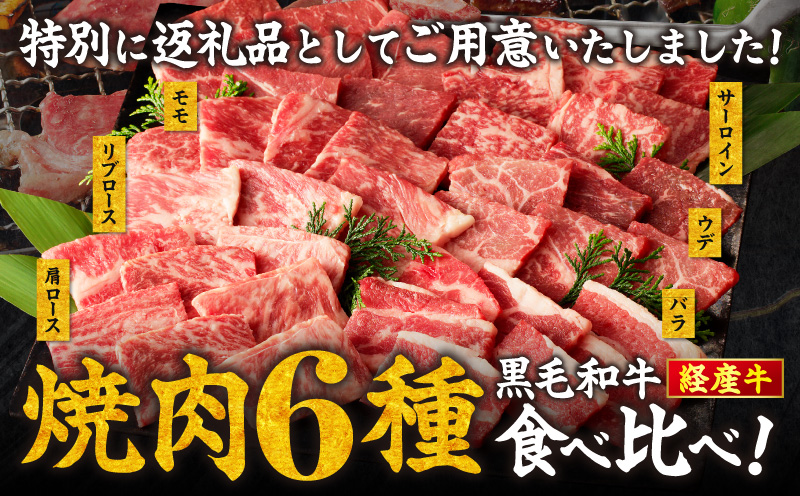 【内容量が選べる】 生産者応援 訳あり 黒毛和牛 6種 焼肉 300g 600g