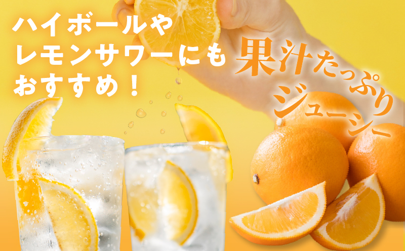 先行予約≪期間限定≫都農町産さくらレモン(マイヤーレモン)計2kg フルーツ 果物 柑橘 レモン 国産_T002-003