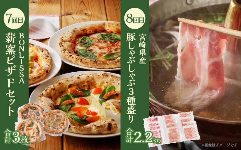 ≪12か月お楽しみ定期便≫都農町定期便(松) 肉 加工品 デザート 国産_T999-0106