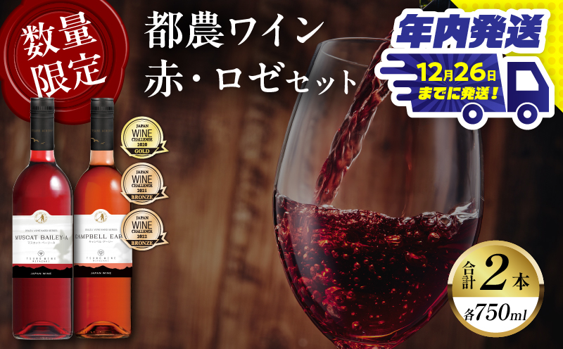 ＼年内発送!!／都農ワイン赤・ロゼ(辛口・甘口)2本セット 酒 飲料 アルコール 国産_T014-035-N