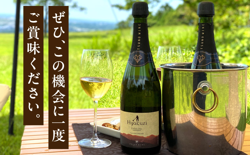 【数量限定】Hyakuzi エクストラセック カーボネイティッド(計1本) 酒 飲料 アルコール 国産_T014-007