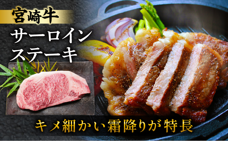 宮崎牛サーロインステーキ&肩(ウデ)すき焼き用セット合計500g 肉 牛 牛肉 焼肉 国産_T009-0032