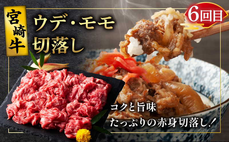 6か月お楽しみ定期便『宮崎牛スペシャル6種セット』総重量4.6kg 肉 牛 牛肉 焼肉 国産_T009-0022