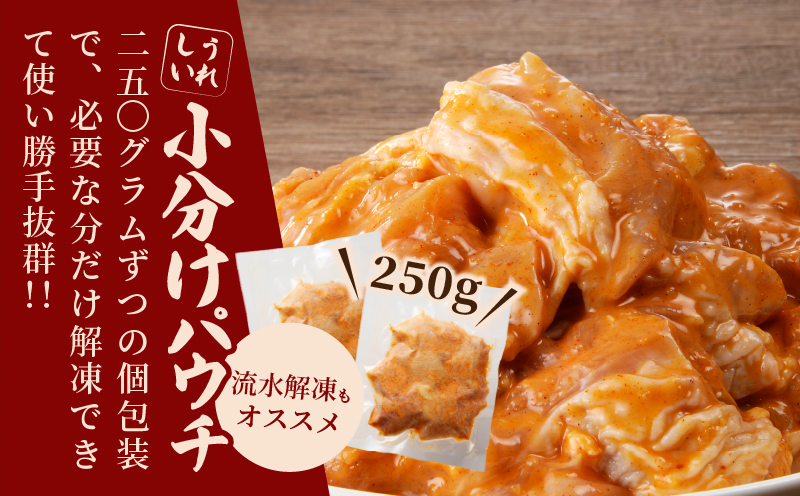 揚げるだけ!!味付き唐揚げ(計1kg) 鶏 鶏肉 チキン 国産_T006-0011