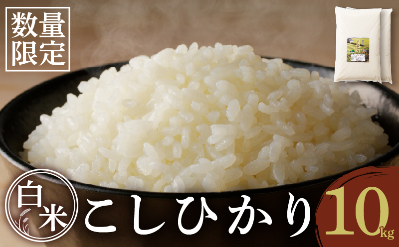 先行予約≪都農町産≫新米コシヒカリ(計10kg) 米 お米 ご飯 国産_T031-0025