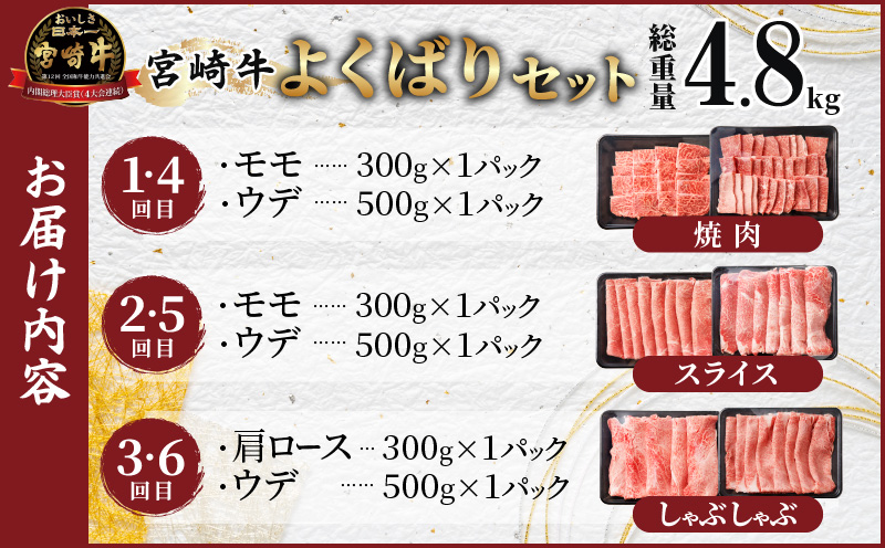 6か月お楽しみ定期便『宮崎牛よくばりセット』総重量4.8kg 肉 牛 牛肉 おかず 国産_T030-1843