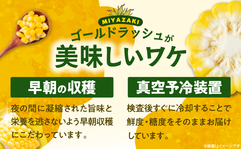 先行予約≪期間限定≫みやざきフレッシュスイートコーン(約4.5kg) とうもろこし 野菜 旬 おやつ 国産_T015-0045