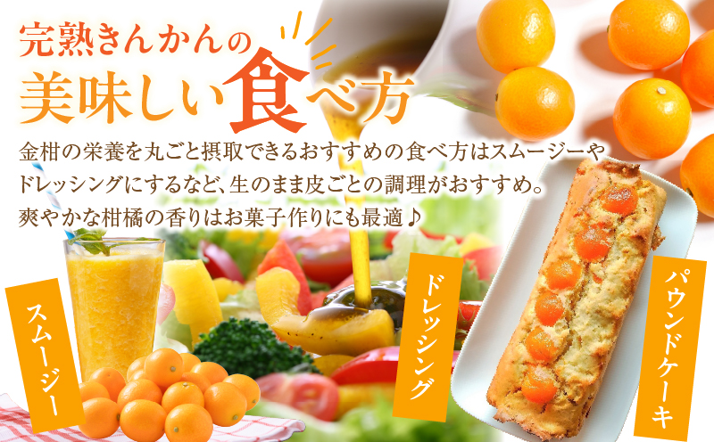 先行予約≪数量限定≫完熟きんかん(計1kg) 化粧箱入り フルーツ 果物 柑橘 国産_T042-0021