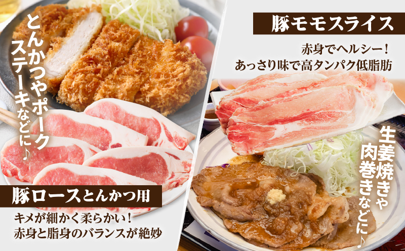 ≪宮崎県産≫豚肉6種＼てげスゲーセット／合計3kg 肉 豚 豚肉 おかず 国産_T009-031
